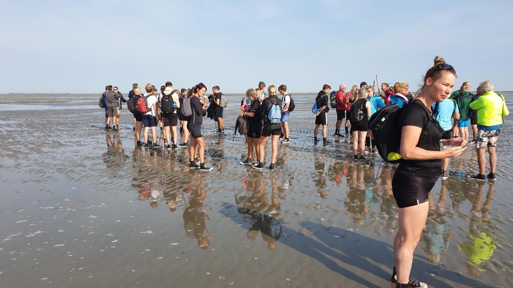 wadlopen ameland