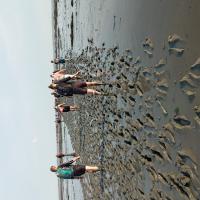 Wadlopen 2022 7