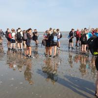 Wadlopen naar Ameland